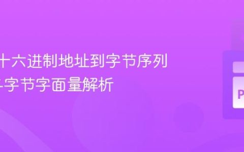 Python十六进制地址到字节序列的转换与字节字面量解析