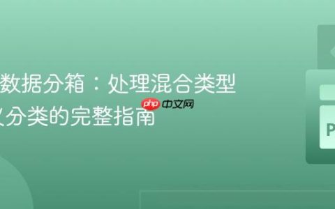 Python 数据分箱：处理混合类型与自定义分类的完整指南