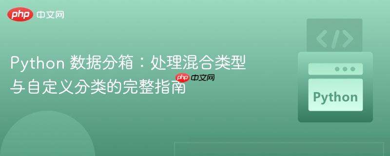 Python 数据分箱:处理混合类型与自定义分类的完整指南