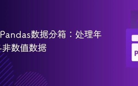Python Pandas数据分箱：处理年龄分类与非数值数据
