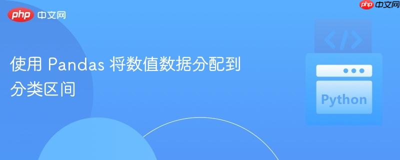 使用 pandas 将数值数据分配到分类区间