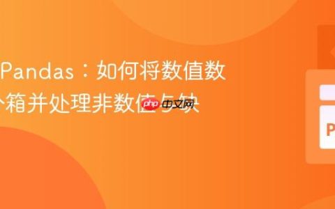Python Pandas：如何将数值数据精确分箱并处理非数值与缺失值