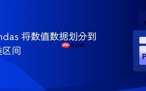 使用 Pandas 将数值数据划分到指定分类区间