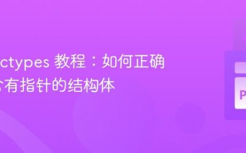 Python ctypes 教程：如何正确深拷贝含有指针的结构体