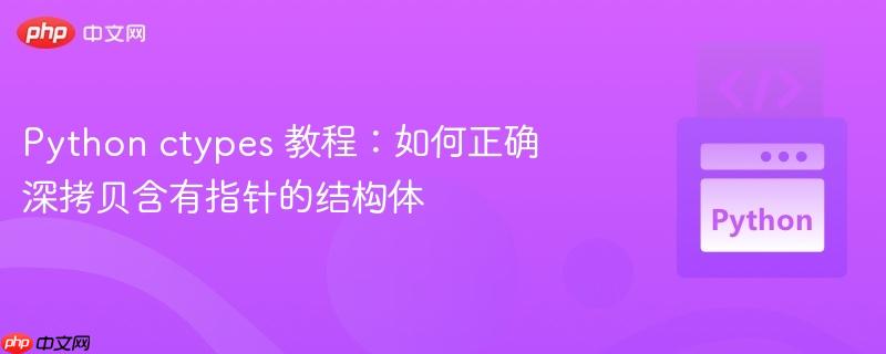 python ctypes 教程:如何正确深拷贝含有指针的结构体