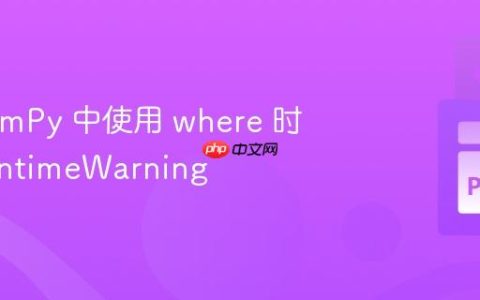 避免 NumPy 中使用 where 时出现 RuntimeWarning