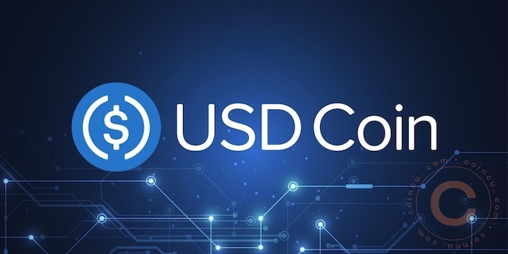 什么是USDC（美元硬币）？USDC如何运作、利弊及未来 - 创想鸟