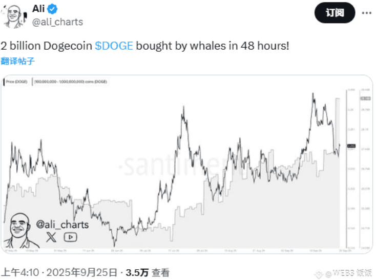 鲸鱼两天狂扫20亿DOGE!狗狗币要暴涨800%还是崩盘见血? - 创想鸟