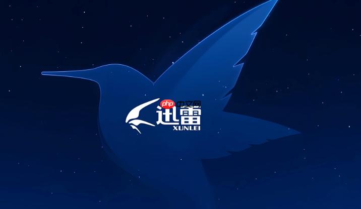 迅雷网盘如何清理重复文件 迅雷网盘存储空间的整理秘诀