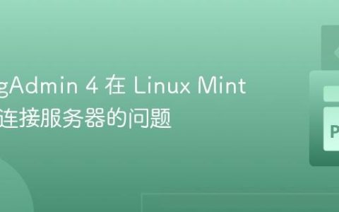 解决 pgAdmin 4 在 Linux Mint 上无法连接服务器的问题