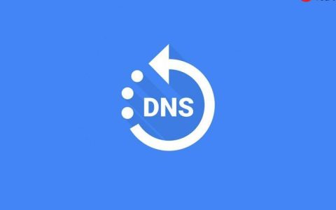 手机dns怎么检测_手机dns服务器状态检测方法指南