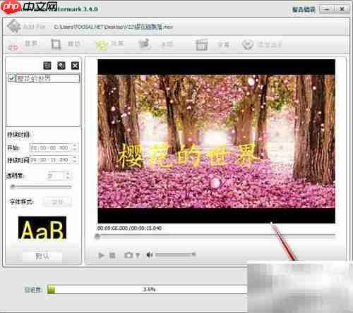 idoo视频编辑加水印教程
