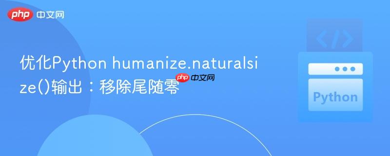 优化Python humanize.naturalsize()输出:移除尾随零