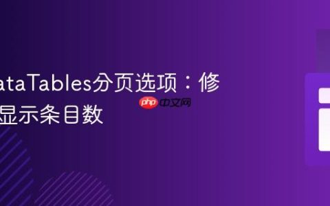 定制DataTables分页选项：修改每页显示条目数