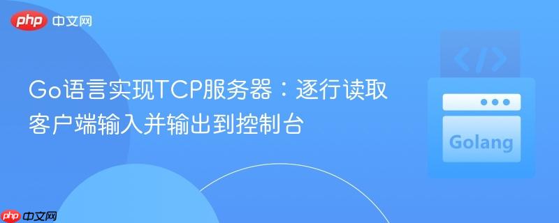 Go语言实现TCP服务器:逐行读取客户端输入并输出到控制台