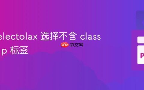 使用 Selectolax 选择不含 class 属性的 p 标签