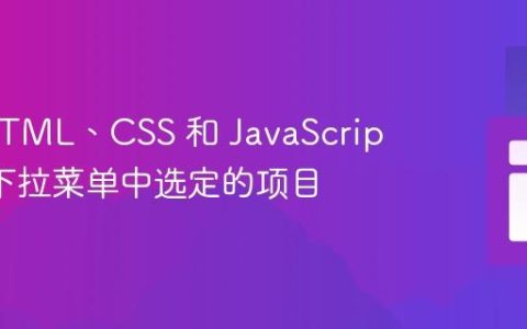 使用 HTML、CSS 和 JavaScript 显示下拉菜单中选定的项目