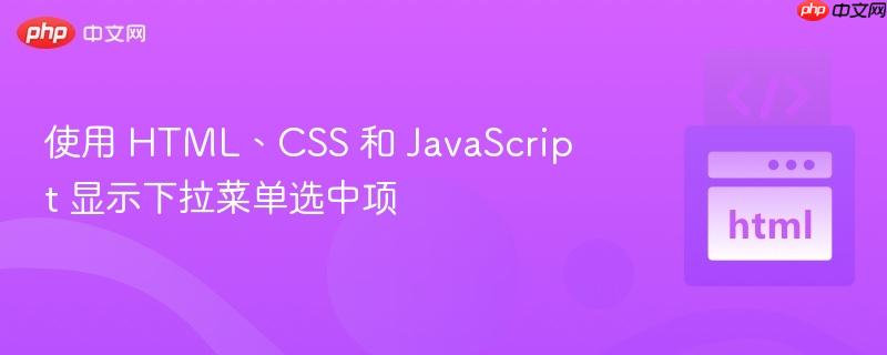 使用 html、css 和 javascript 显示下拉菜单选中项