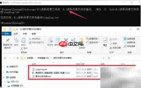 CMD指令Bat中失效解决方法