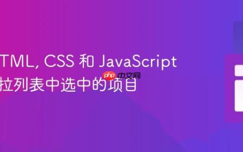 使用 HTML, CSS 和 JavaScript 显示下拉列表中选中的项目