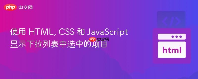 使用 html, css 和 javascript 显示下拉列表中选中的项目