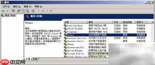 Windows Server 2003安全防护