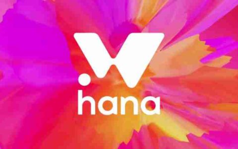 Hana Network(HANA)币是什么?值得投资吗?HANA代币经济与前景分析