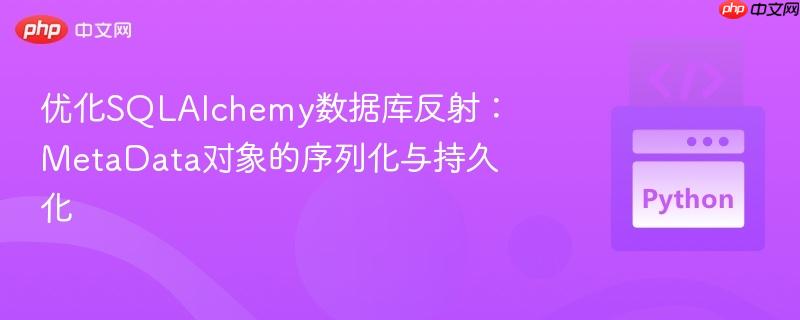 优化SQLAlchemy数据库反射:MetaData对象的序列化与持久化