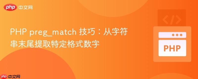 php preg_match 技巧：从字符串末尾提取特定格式数字
