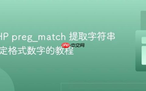 利用PHP preg_match 提取字符串末尾特定格式数字的教程