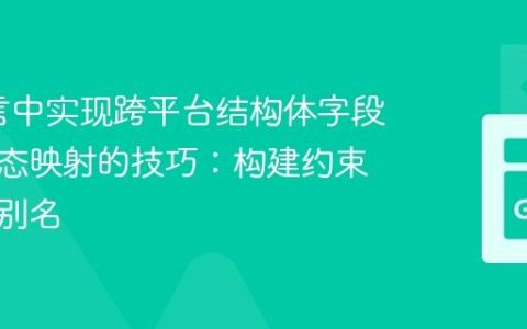 Go语言中实现跨平台结构体字段类型动态映射的技巧：构建约束与类型别名