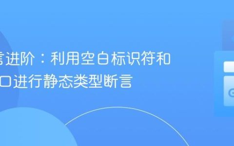 Go语言进阶：利用空白标识符和内联接口进行静态类型断言