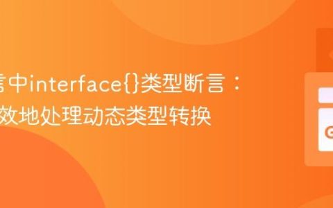 Go语言中interface{}类型断言：安全高效地处理动态类型转换
