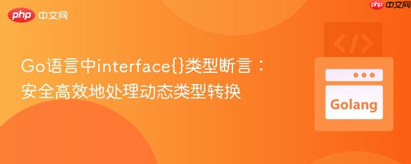 Go语言中interface{}类型断言:安全高效地处理动态类型转换