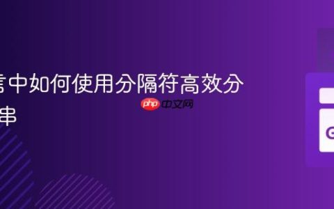 Go语言中如何使用分隔符高效分割字符串