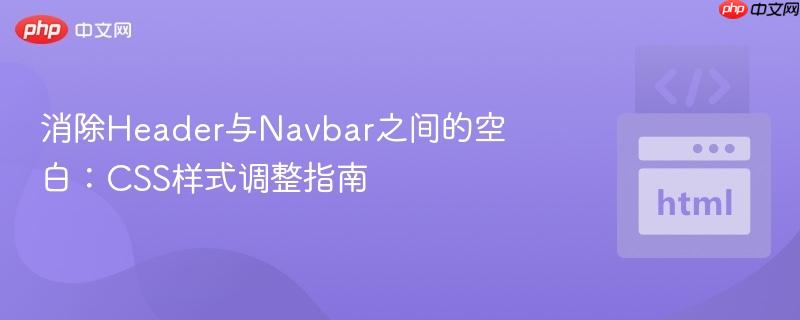 消除header与navbar之间的空白:css样式调整指南