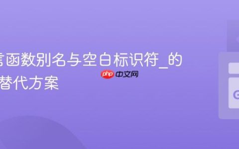 Go语言函数别名与空白标识符_的限制及替代方案