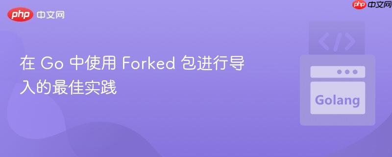 在 go 中使用 forked 包进行导入的最佳实践