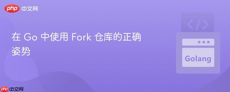 在 go 中使用 fork 仓库的正确姿势
