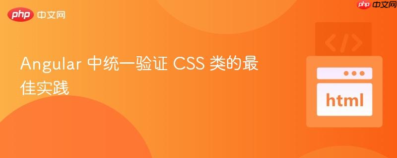 angular 中统一验证 css 类的最佳实践
