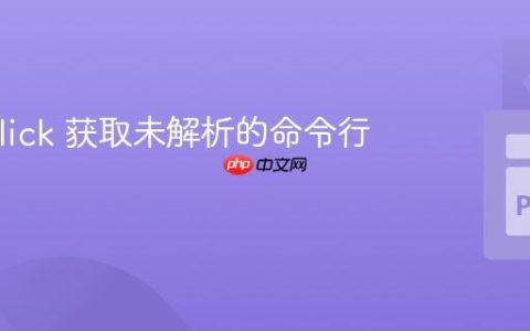 使用 Click 获取未解析的命令行参数