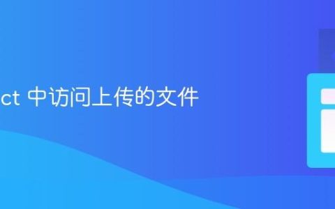 在 React 中访问上传的文件