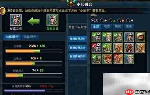图腾王小兵强化技巧