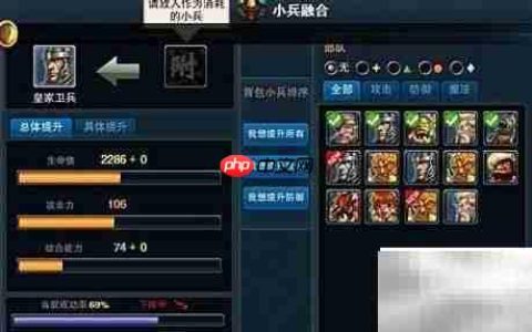 图腾王小兵强化技巧