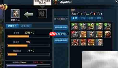 图腾王小兵强化技巧