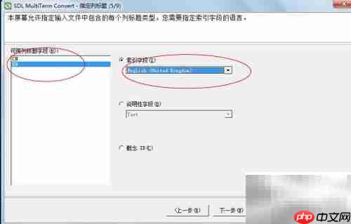 Multiterm Convert转换Excel术语库