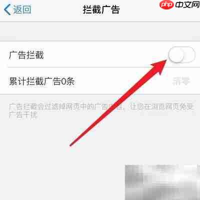 如何开启浏览器广告拦截