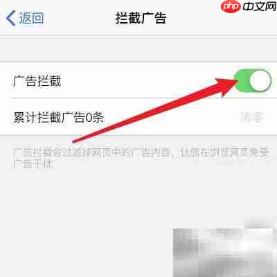 如何开启浏览器广告拦截