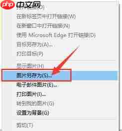 硕思logo设计师怎么去水印?硕思logo设计师去水印的方法