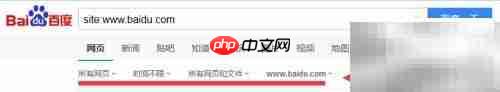 巧用site语法精准搜索